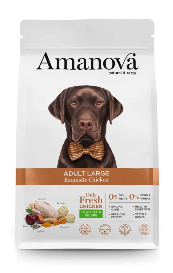 Amanova ADULT LARGE EXQUISITE CHICKEN